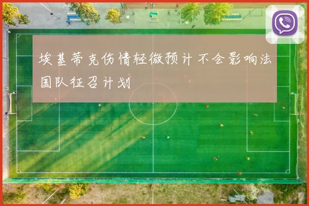 埃基蒂克伤情轻微预计不会影响法国队征召计划