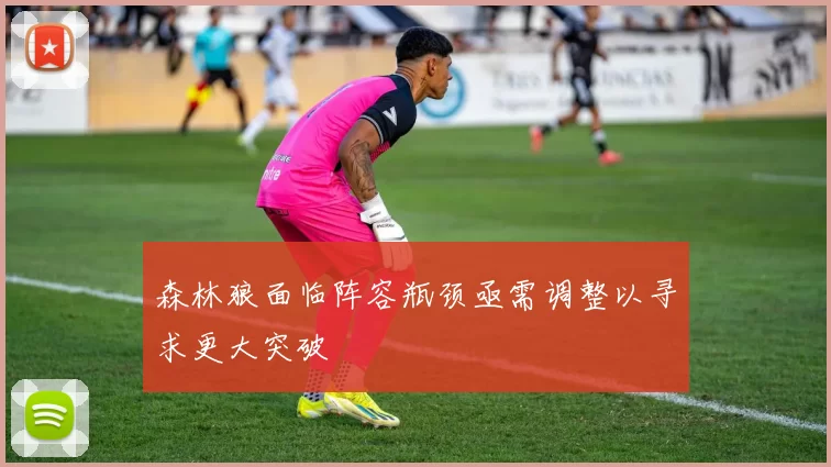森林狼面临阵容瓶颈亟需调整以寻求更大突破